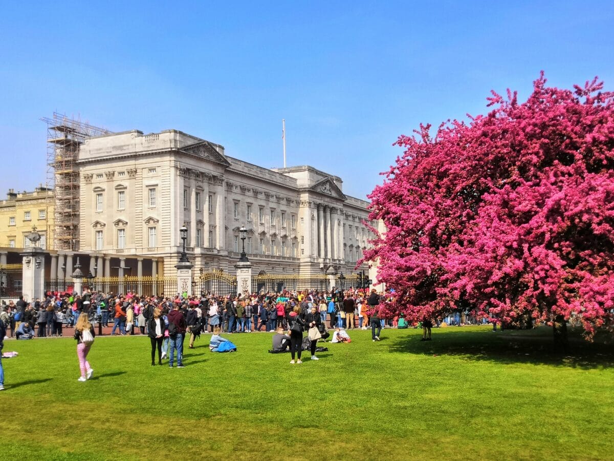 Visitors gathering on the grass opposite Buckingham Palace in spring, waiting for Changing the Guard